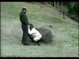 Japanese MILF Punished
