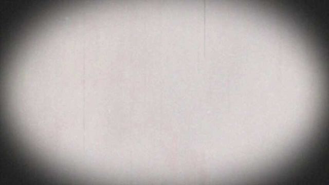 Brennnesseln für die Arschfotze2023