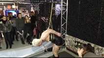 Predicament Challenge