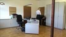 Julia – The Fake Auditor Part 1 of 7