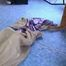Janie is bagged (3)