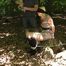 Jessy tied in the forest 1/2