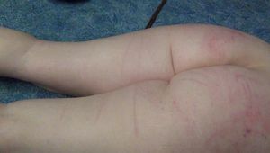 Jadirs Education - Punishment and Balance Training