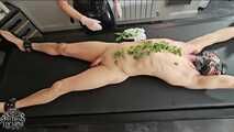 Nettles on the slave's body