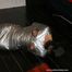 Complete Mummification