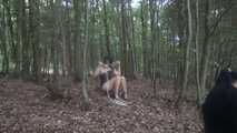 Ayu tree tied 2/2