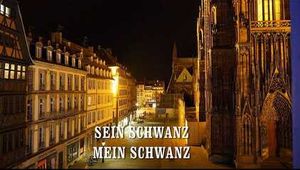 SEIN SCHWANZ MEIN SCHWANZ