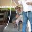 Gina and Stefanie - The Entrance Exam 2 Part 3 of 10