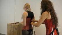 Vanessa brown corset