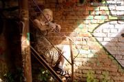 Nana - In the ruins 1