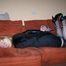 Letztes Update im Jahr 2013
