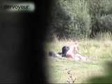 HIDDEN CAM AND FUCKING COUPLES
