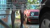 069002 Tiffany Takes A Pee In The Street By The Parked Cars