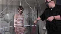 Sophias Rope Bondage und bittere Demütigung