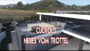 CUCKOLD THE HUSBAND