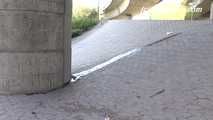 064006 Kima Takes A Pee Under the Overpass