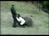 Japanese MILF Punished