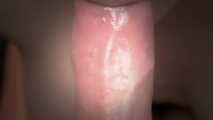 CUCKOLD CREAM CARPET