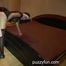 Susie Star, for her relaxation fucked and inseminated after Venus Berlin
