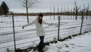 Cuffed to the fence