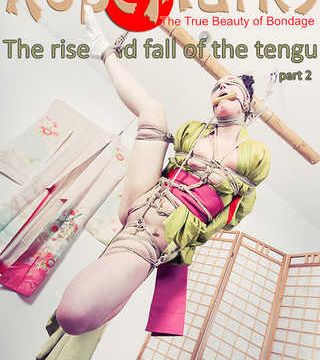 The rise and fall of the tengu, part 2