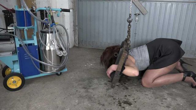 Jolie im Pranger gemolken