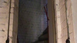 Thank you for your loyalty clips dollars only 1 per clip