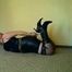 Hogcuffed