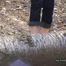 Barefeet in the wood 2