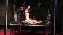 BoundCon XII - Custom Photo Shooting - Saturday Night Special - Part 5