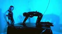 The Blue Room - Ass hooked and vibed
