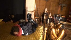 WUNSCHVIDEO - Natasha - Die Entführung Teil 4 von 8