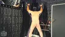 Whips for the Slavesass