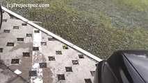 119019 Donna-Jo Pees A Flood In The Amusement Park 