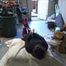 Paulette and Romy - The supposed gardener 2 part 6 of 8