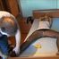 Marenka and Rene - Dreams Come True part 3 of 5
