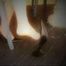 MEINE NEUEN HEELS