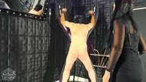 Whips for the Slavesass