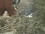 HIDDEN CAM AND FUCKING COUPLES