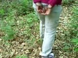 Mit Hand - und Fußschellen im Wald spazieren