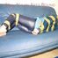 Leoni tied, gagged and hooded with tape wearing a sexy blue rainwear combination (Pics)