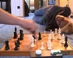 Chess 2