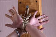 Bianca nude pole tied