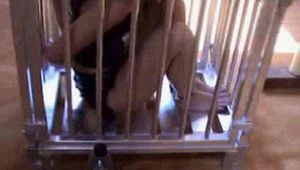 ab-129 Revenge is sweet - Part 2 (2)