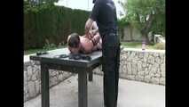 chicken wing hogtie
