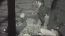 VOYEURFUN 1664_3