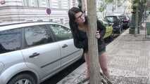 A sightseeing tour in Prague