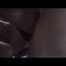 Gym orgy 2