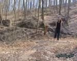 Barfuß im Wald 2