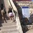 023096 Ewa Pees Down The Steps Of St Agatha's Tower